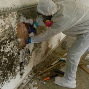 Wall needing repair due to mold
